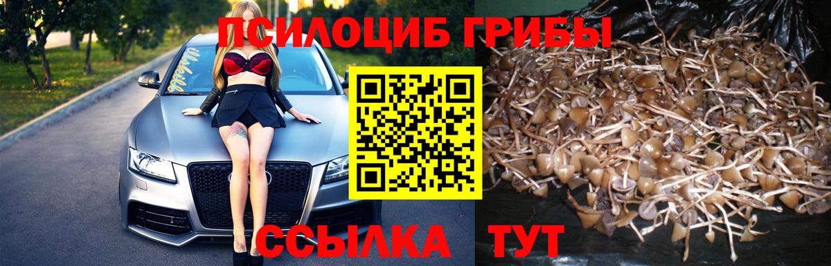 Галлюциногенные грибы мицелий  Вход с VPN  где продают наркотики  Сосновый Бор 