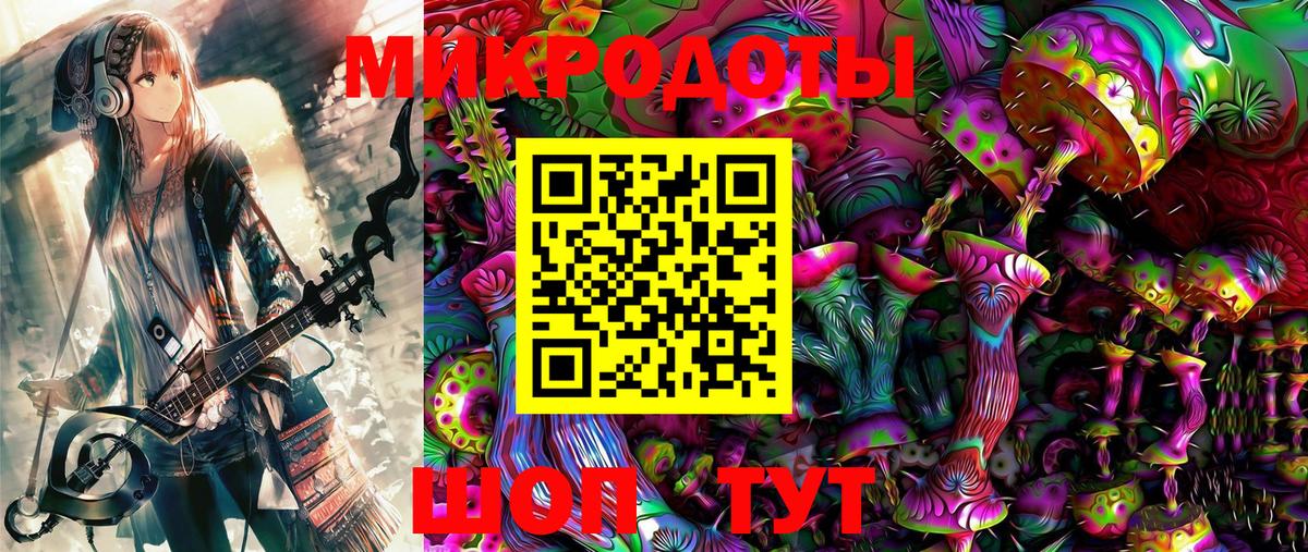 Галлюциногенные грибы Psilocybe Сосновый Бор