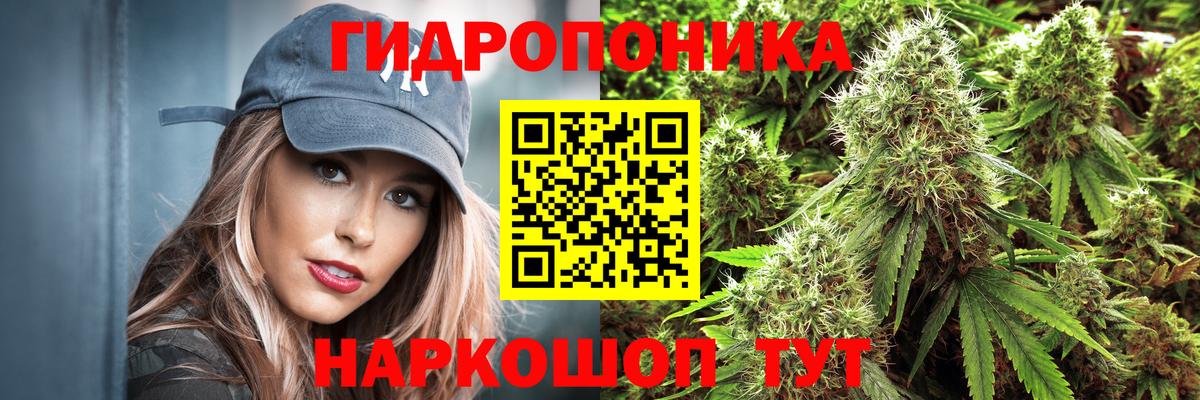 Бошки Шишки SATIVA & INDICA Сосновый Бор